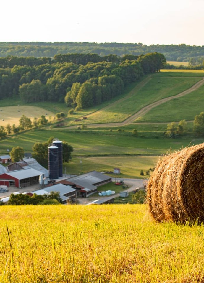 agriculture